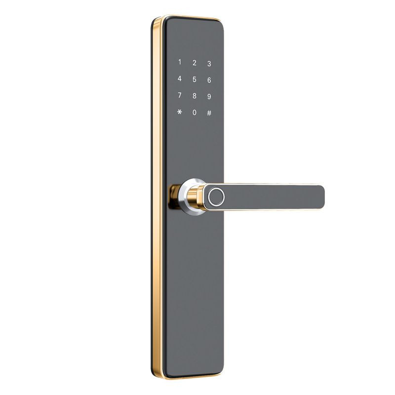 Home security door fingerprint lock password lock all lock hotel magnetic card swipe induction lock Bluetooth apartment