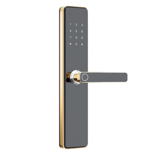 Home security door fingerprint lock password lock all lock hotel magnetic card swipe induction lock Bluetooth apartment