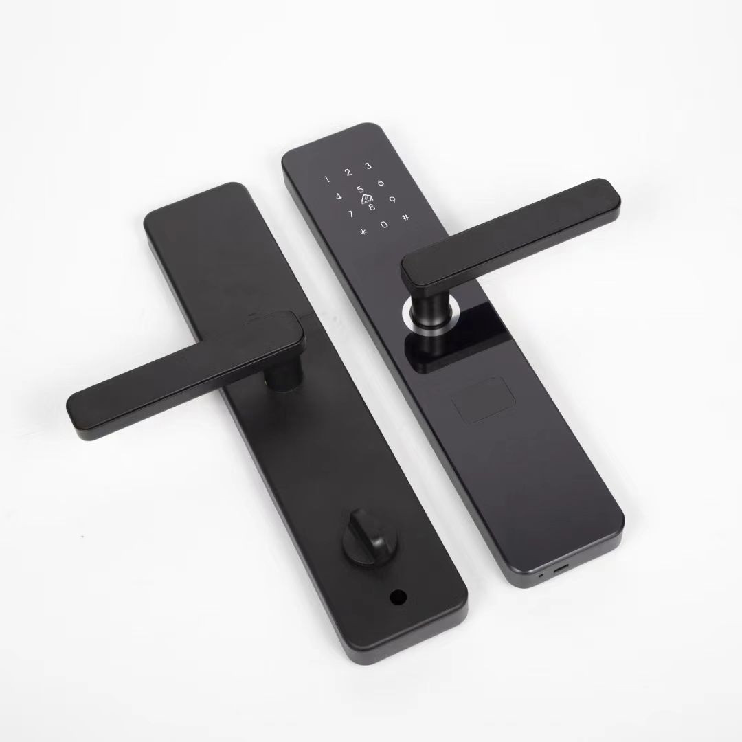 Apartment fingerprint password lock homestay rental house smart anti-theft door app bluetooth wifi remote graffiti all