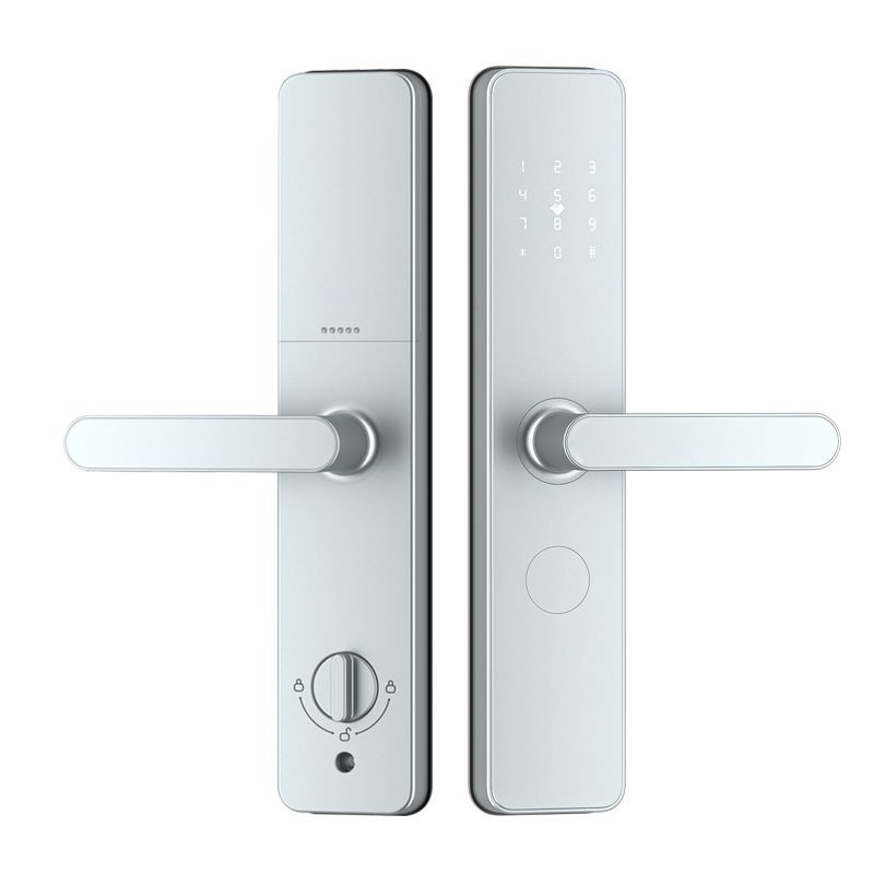 Palm vein graffiti wifi fingerprint password lock hotel apartment daily rental card lock APP anti-theft door lock