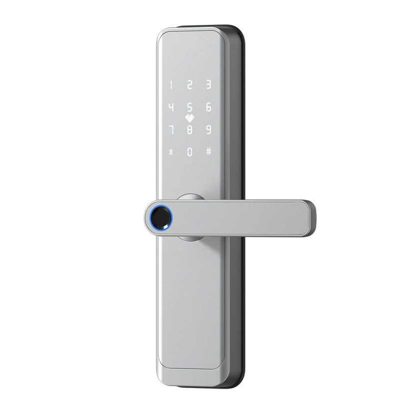 Wooden door 5050 fingerprint password card lock hotel apartment ic guest room small lock body smart door lock all locks