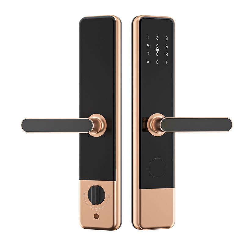 Apartment anti-theft door lock fingerprint password lock hotel magnetic card induction swipe card lock graffiti all loc