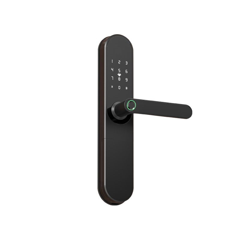 Tuya Tuya smart fingerprint password lock APP remote apartment anti-theft door all lock magnetic card induction swipe c