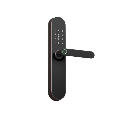 Tuya Tuya smart fingerprint password lock APP remote apartment anti-theft door all lock magnetic card induction swipe c