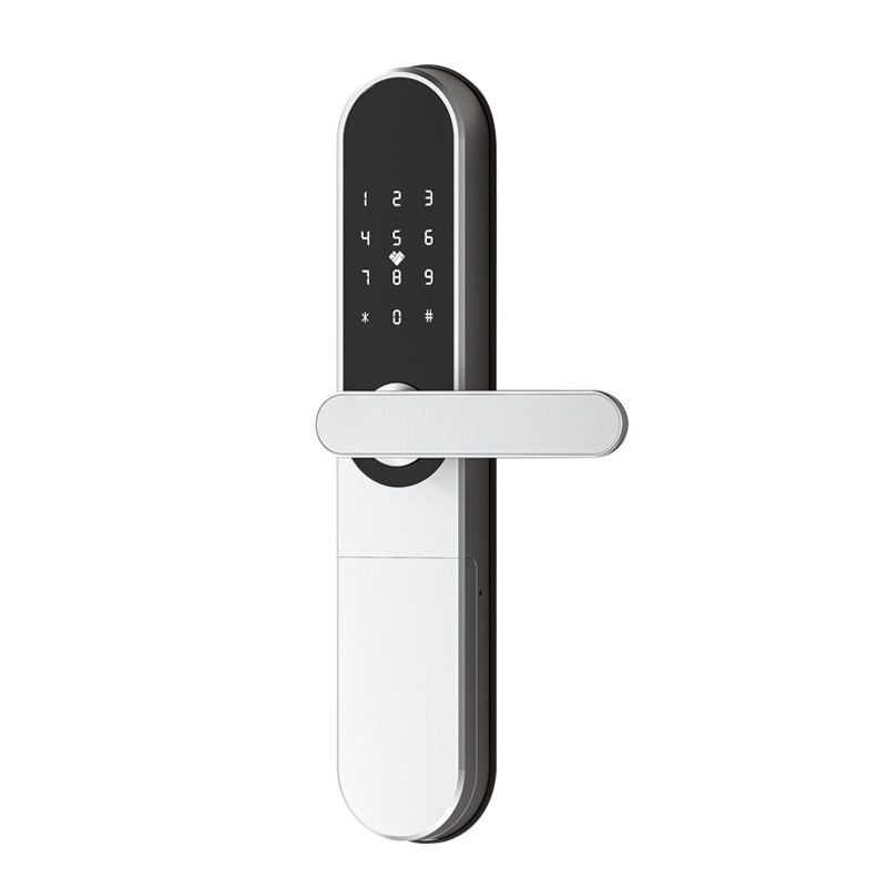 Tuya Tuya smart fingerprint password lock APP remote apartment anti-theft door all lock magnetic card induction swipe c