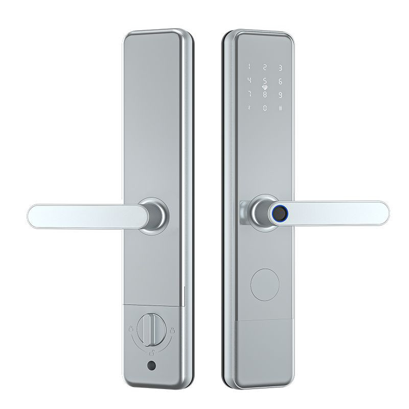 Apartment anti-theft door lock fingerprint password lock hotel magnetic card induction swipe card lock graffiti all loc