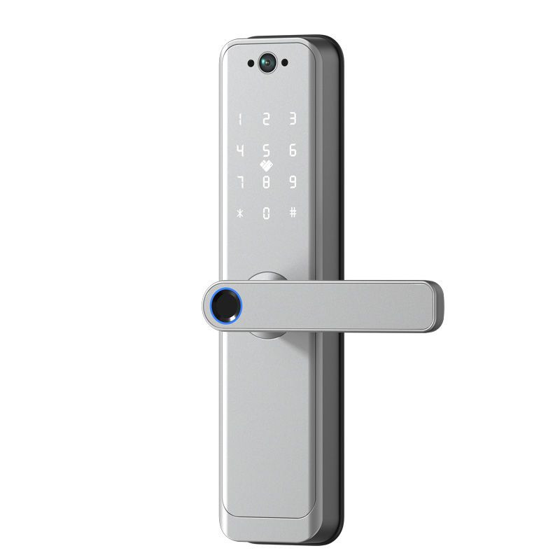 Wooden door 5050 fingerprint password card lock hotel apartment ic guest room small lock body smart door lock all locks