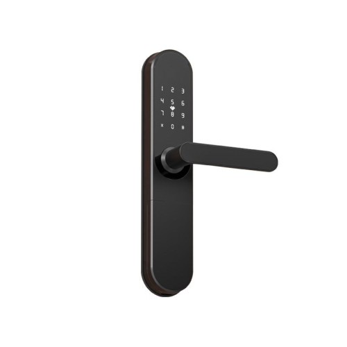 Tuya Tuya smart fingerprint password lock APP remote apartment anti-theft door all lock magnetic card induction swipe c