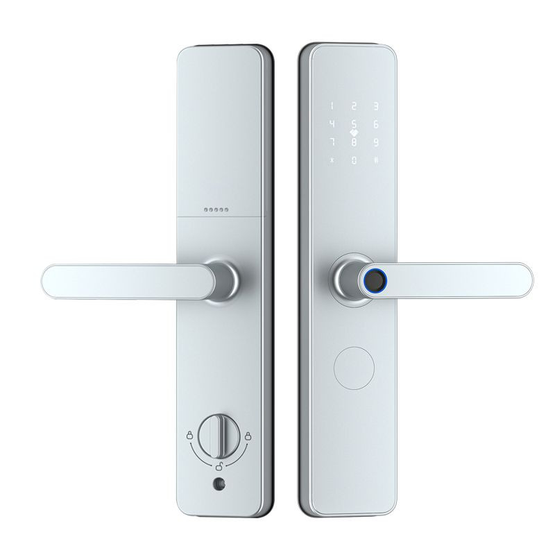 Palm vein graffiti wifi fingerprint password lock hotel apartment daily rental card lock APP anti-theft door lock