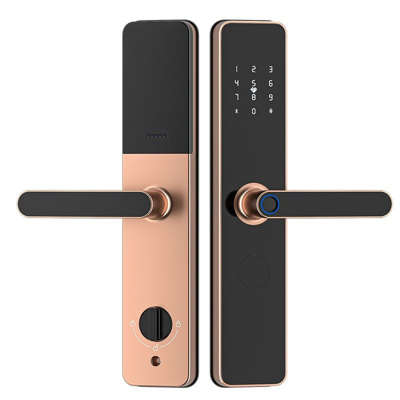 Palm vein graffiti wifi fingerprint password lock hotel apartment daily rental card lock APP anti-theft door lock
