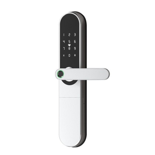 Tuya Tuya smart fingerprint password lock APP remote apartment anti-theft door all lock magnetic card induction swipe c